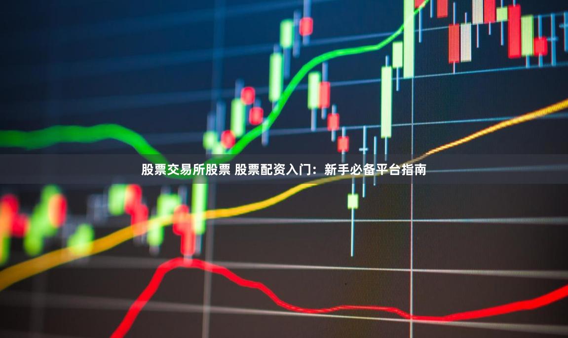股票交易所股票 股票配资入门：新手必备平台指南