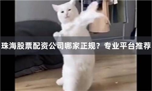 珠海股票配资公司哪家正规?专业平台推荐