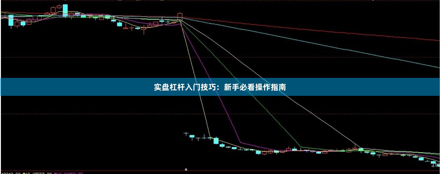 实盘杠杆入门技巧：新手必看操作指南